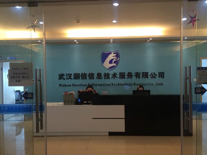 武汉灏信信息技术服务 链接未来的专业信息咨询力量